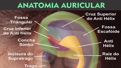 AURICULOTERAPIA CHINESA